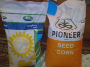 Продам семена посевной кукурзы.Продам семена посевного подсолнуха.