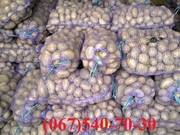 Продам картофель  семенной,  посадочный материал ЭЛИТА